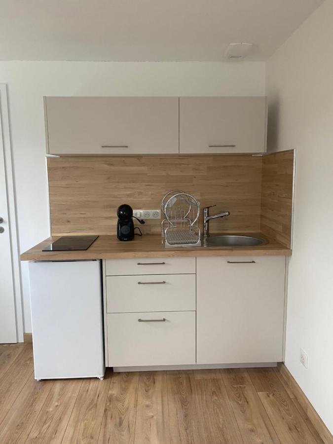 Les Petites Plumes D'Hag Appartement Haguenau Buitenkant foto