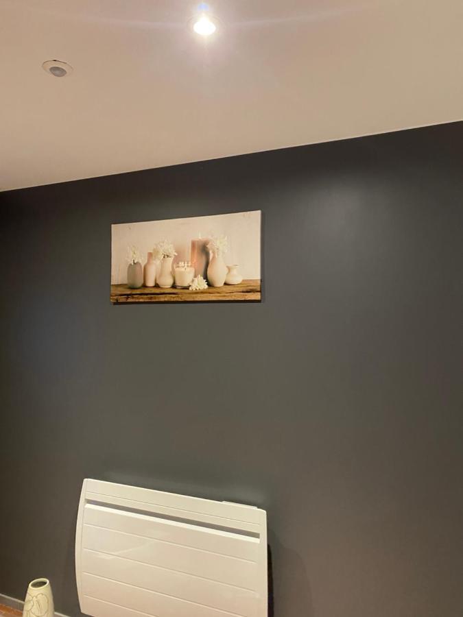Les Petites Plumes D'Hag Appartement Haguenau Buitenkant foto
