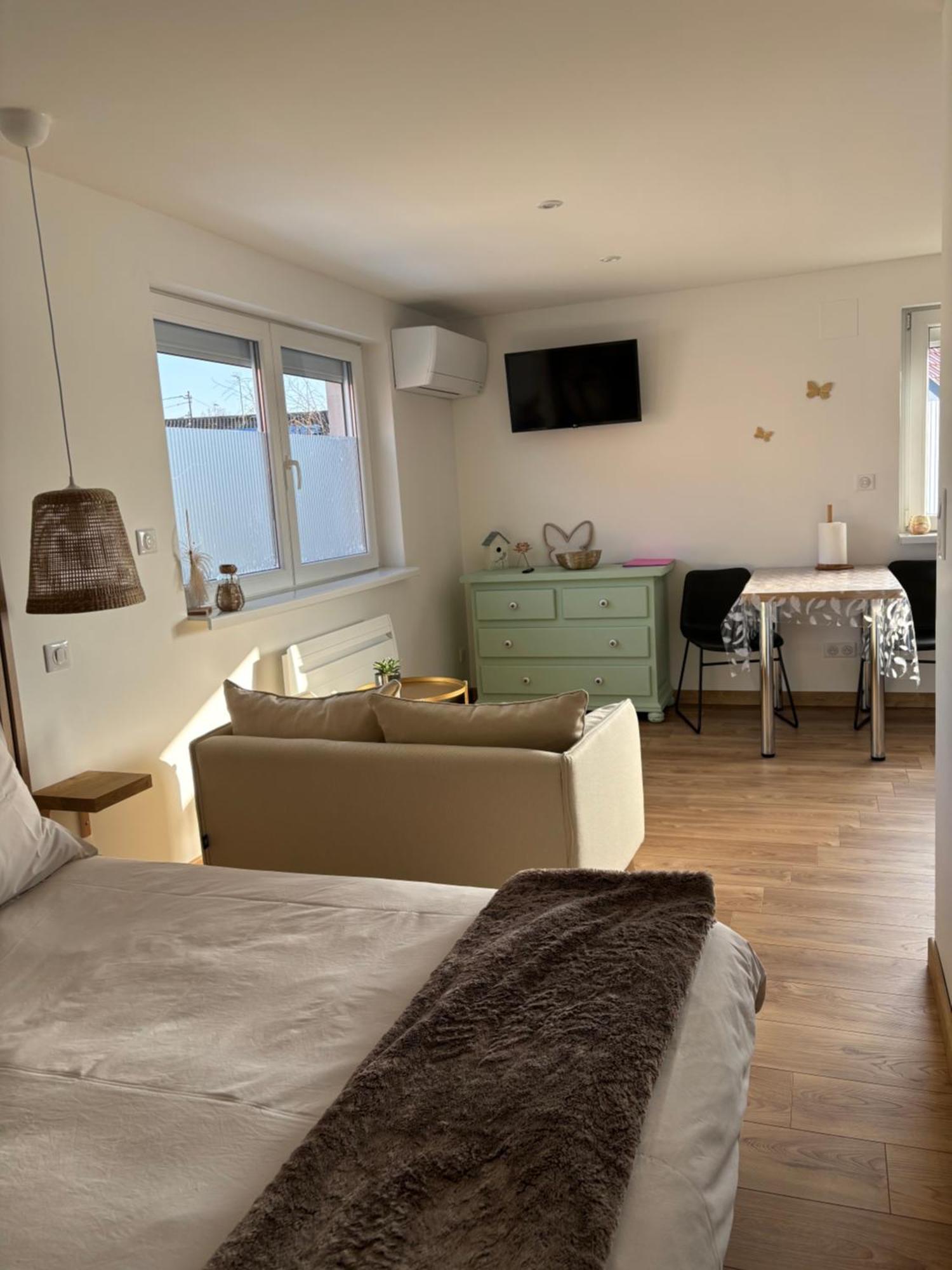 Les Petites Plumes D'Hag Appartement Haguenau Buitenkant foto